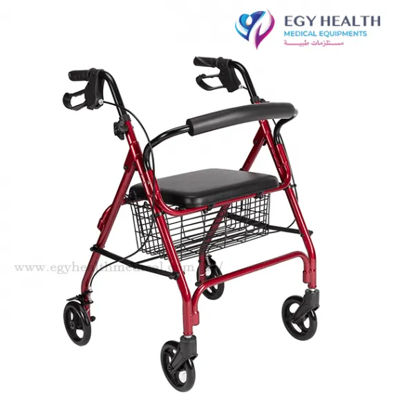 مشايه امريكى,ايجى هيلث